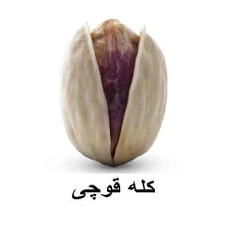 پسته کله قوچی